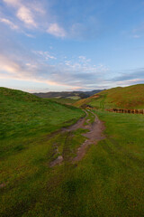 Fototapeta premium Scenic green field with beautiful sky.