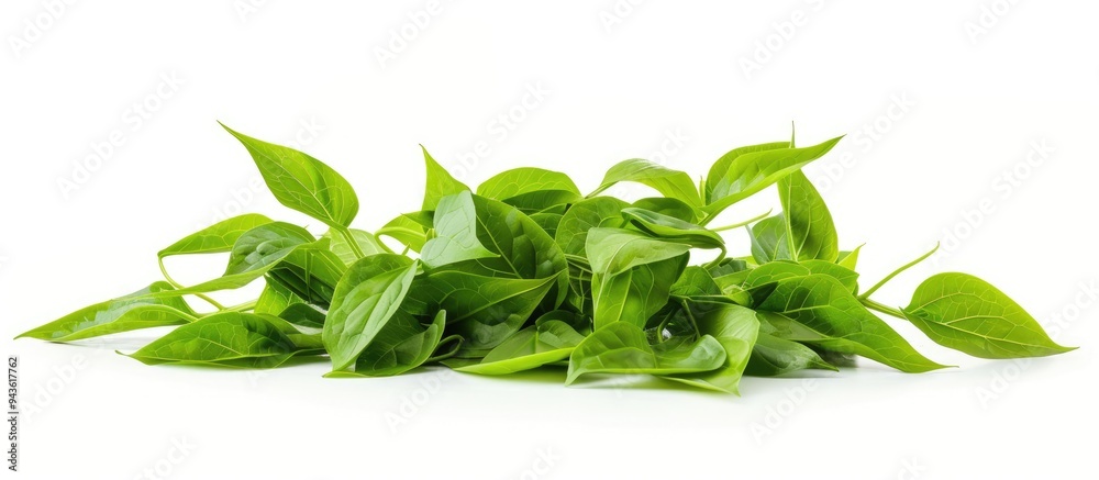 Aufkleber A detailed image featuring a Water Spinach or Ipomoea Aquatica pile isolated on white with room for text or other elements. Creative banner. Copyspace image