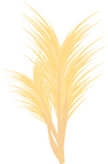 Detailed illustration of three branches of pampas grass growing together in a light yellow color