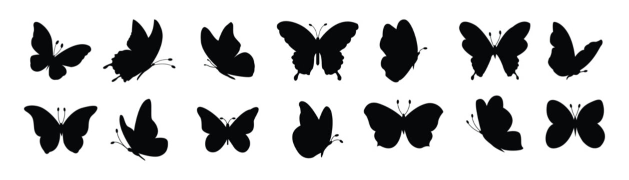 butterflies Flying silhouette black set, Flaying butterflies vector collection isolated on white background. Use for graphic design, web and mobile app.