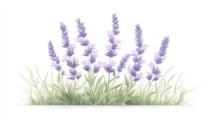 Naklejka premium A bunch of purple flowers are in a field