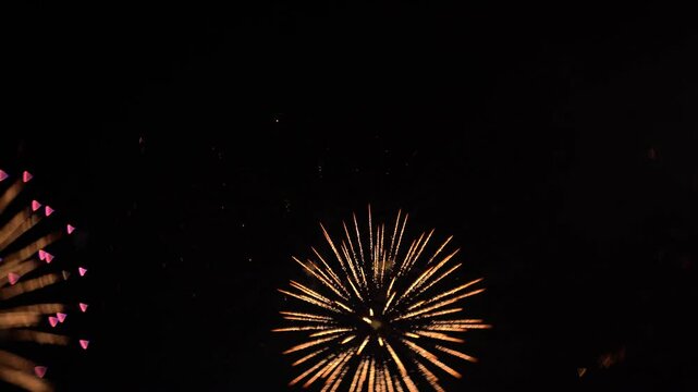 特殊なレンズで撮影した周囲にボケのある美しい花火（Lomography Petzval 55 mm f/1.7 MKII 使用）