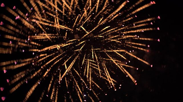 特殊なレンズで撮影した周囲にボケのある美しい花火（Lomography Petzval 55 mm f/1.7 MKII 使用）