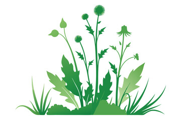 Weeds on white background M.eps