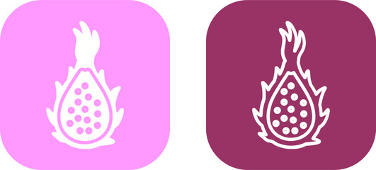 Dragon Fruit Vector Icon
