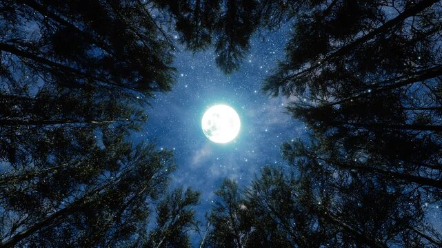 Forest trees in the wind at stary night, blue sky with moon and the milky Way through the silhouettes of the trees. Camping at nature, looking from the bottom up to sky, view from below.