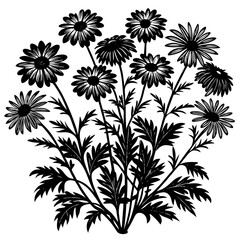 German Chamomile Silhouette Vector Art