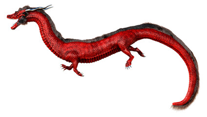 Obraz premium 3D Rendering Eastern Dragon on White