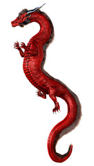 Fototapeta premium 3D Rendering Fairy Tale Dragon on White