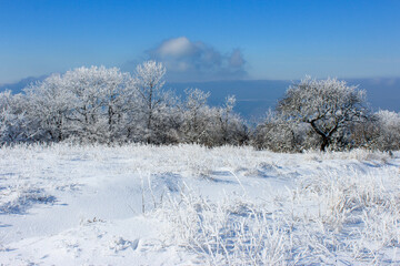 A sunny winter day in the mountains. The trees are covered with frost and there is a lot of snow on the ground.