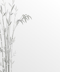Fototapeta premium Floral Background. Bamboo trees. Vector illustration. Background can be used for advertising, product design and much more
