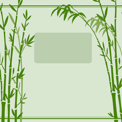Floral Background. Bamboo trees. Vector illustration. Background can be used for advertising, product design and much more