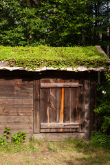 Grünes Moos auf dem Dach einer alten Scheune in Skandinavien. Traditionell bemoostes Dach. Green moss on the roof of an old barn in Scandinavia. Traditional moss-covered roof.
