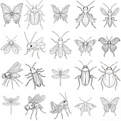 Insects. Set of coloring pages for kids, outlines only, black and white illustrations, high resolution, no shadows, no filling, clear line