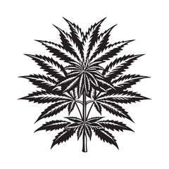 Editable Marijuana Silhouette Vector Illustration for Designers.