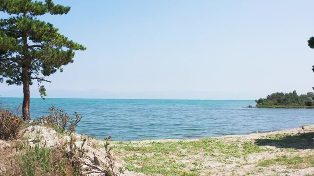Drone fly from beach lake to water surface. Aerial footage Sevan lake in Armenia, Caucasus. Drone fly from grass, tree to lake. Touristic place in Armenia, West Asia.