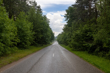 Fototapeta premium Wet rain field paved road in the forest