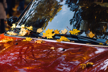 Yellow autumn leaves on red car hood and windshield. Fall season, automotive photography,...