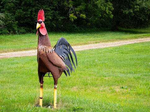 Metal Rooster Sculpture in Countryside Setting