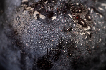 close-up of purple plum fruits in drops of water