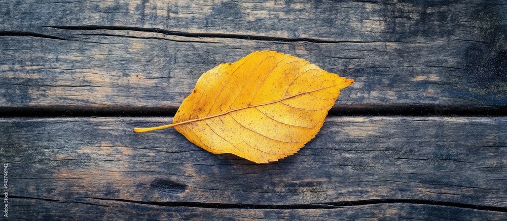 Leinwandbilder a lovely yellow autumn leaf rests on an aged wooden surface close up representing the essence of aut