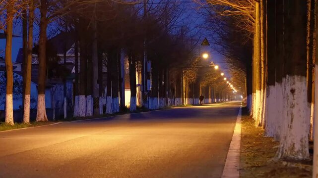Hengsha Island, Shanghai - Boulevard at night