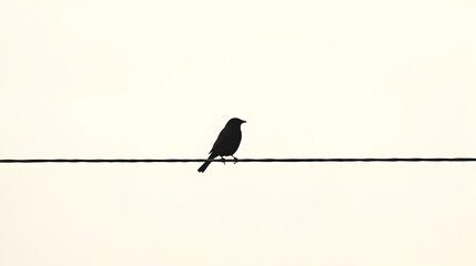 Solitary bird perched on a power line against a clear blue sky with ample copyspace for text or design  Minimalist and atmospheric nature scene with a simple silhouetted profile