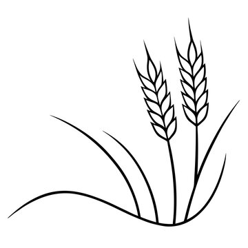 recommend clip art: vector wheat field swaying in line art