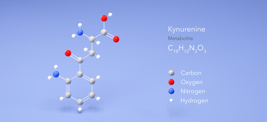 kynurenine molecule, molecular structure, l-kynurenine, 3d model, Structural Chemical Formula and Atoms with Color Coding