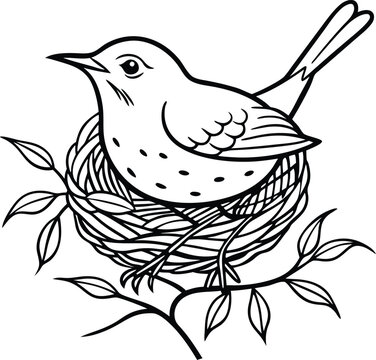 recommend clip art: Cute wren nestled in branches line art for kids coloring book to brighten their creative time
                    