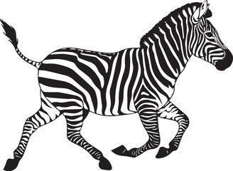 Zebra vector black silhouette design for T-Shirt