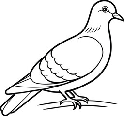 Easy pigeon line drawing with rounded body on a branch ideal for kids coloring book
