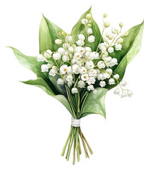 PNG Elegant Lily The Valley