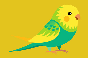  Beautiful budgerigar bird vector art illustration