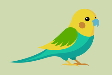  Beautiful budgerigar bird vector art illustration