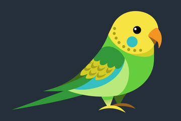  Beautiful budgerigar bird vector art illustration