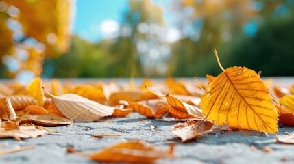 Close-up of vibrant autumn leaves scattered on a ground with a blurred background of trees, capturing the essence of fall season.
