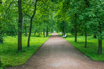 A winding path leads through a verdant park, framed by towering trees with vibrant green leaves. Benches line the path, inviting visitors to pause and enjoy the peaceful atmosphere.