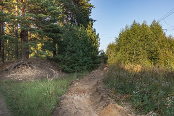 A dirt road with a tree on the left and a tree on the right