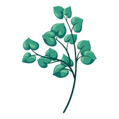 Obraz premium Green linden twig with leaves. Cartoon flat illustration