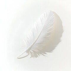 Obraz premium Lone White Feather Gracefully Settled on a Bright,Untarnished Plane