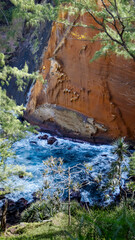 Ile de la Réunion,974,Paille en queue,usine,le gol, chien, feu d'artifice,cap jaune,falaise,paradis du fruit,cinema