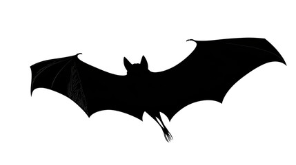 Fototapeta premium Eerie Black Bat Silhouette Soaring in Flight Against White Background