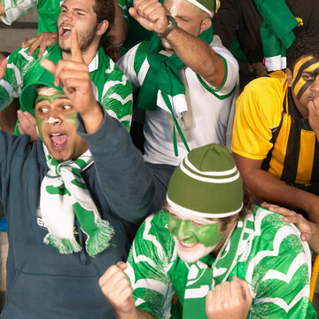Sports Fans