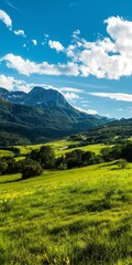 Fototapeta premium A breathtaking panoramic view of green meadows, rolling hills, and majestic mountain peaks.