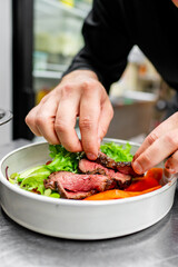 A chef’s hands garnishing a plate of sliced meat and vegetables with fresh greens, highlighting the final touches to a vibrant, colorful dish. Focus on hands and food, showcasing culinary artistry