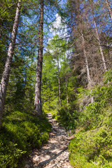 Hiking near La Villa - Val Badia - Alta Badia - Italy