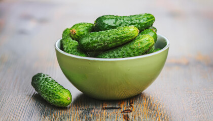 Bowl of green cucumbers. Fresh and tasty harvest. Farm product. Delicious and ripe vegetable.
