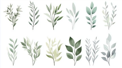 Watercolor hand-drawn illustration of various greenery elements set against a white background. The artwork features a neutral soft color palette with minimalistic design elements, including simple sh