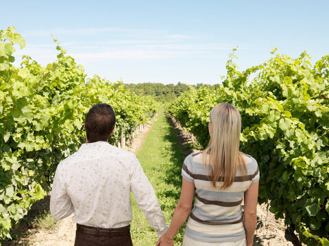 Couple Walking in Winery, Vineland, Ontario, Canada
